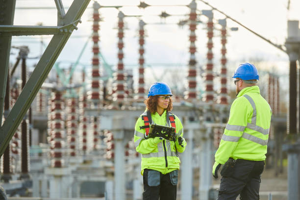 Best Electric Panel Repair  in Vla Grove, IL