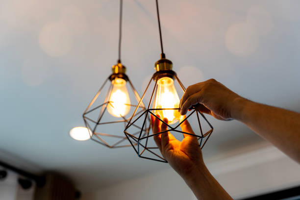 Best Electrical Troubleshooting Services  in Vla Grove, IL