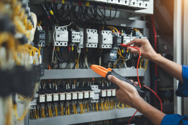 Best Electrician for Home Renovation  in Vla Grove, IL