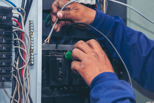Best Residential Electrician Services  in Vla Grove, IL