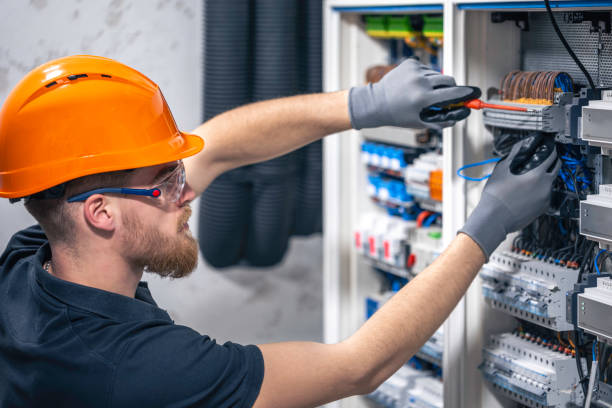 Best Electrical Wiring Services  in Vla Grove, IL